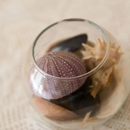 아파트 Milenko 두브로브니크